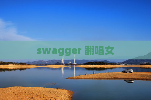 swagger 翻唱女
